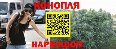spice Бийск