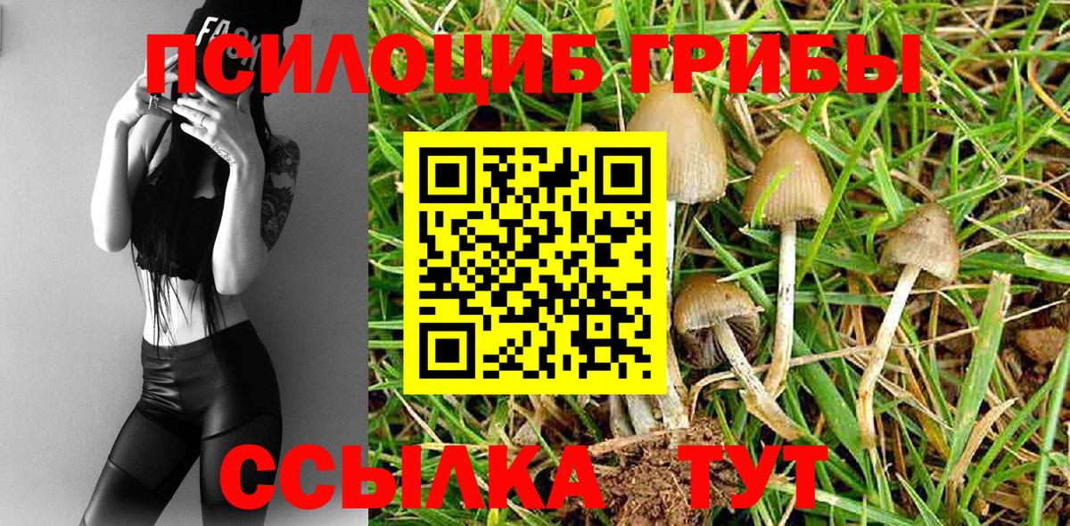Псилоцибиновые грибы MAGIC MUSHROOMS  Вход с VPN  Галлюциногенные грибы ЛСД  Зима 