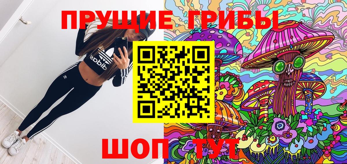Псилоцибиновые грибы прущие грибы Зима